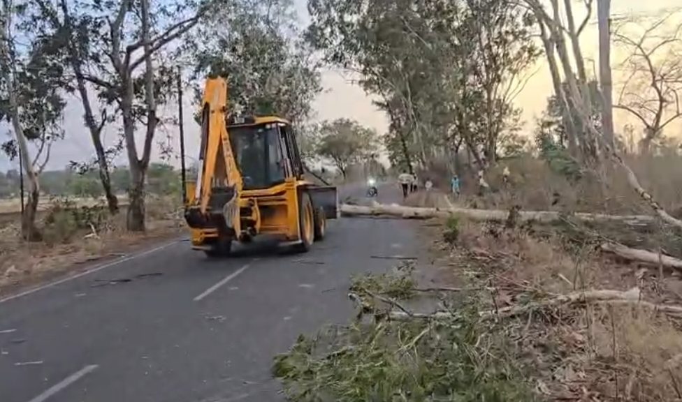 आमला: तेज आंधी-तूफान का तांडव, कहीं उड़ी छतें तो कहीं धराशाई हुए विशालकाय पेड़
